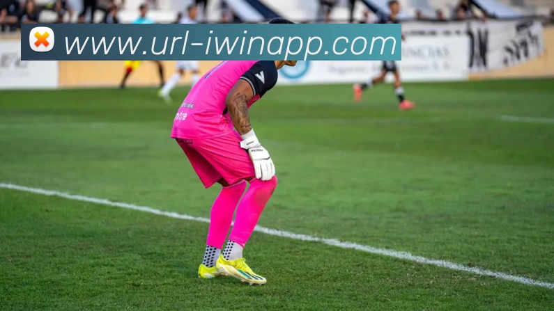 iWin体育APP 封面图